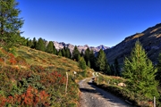 IMG_9135-hdr.jpg