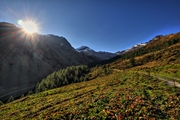 IMG_9138-hdr.jpg