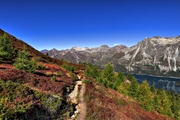 IMG_9282-hdr.jpg