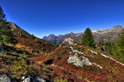 IMG_9321-hdr.jpg