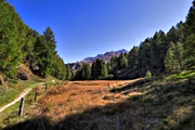 IMG_9339-hdr.jpg