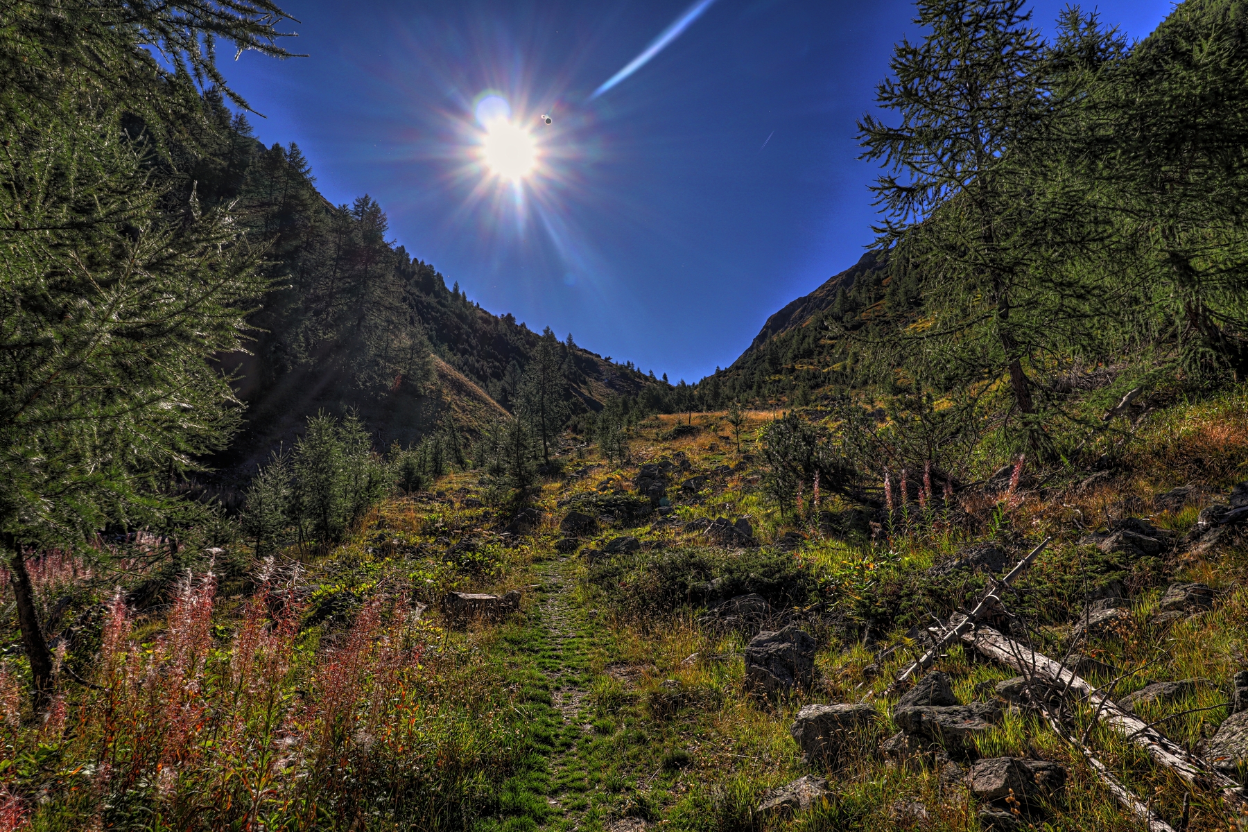 IMG_1139-hdr.jpg