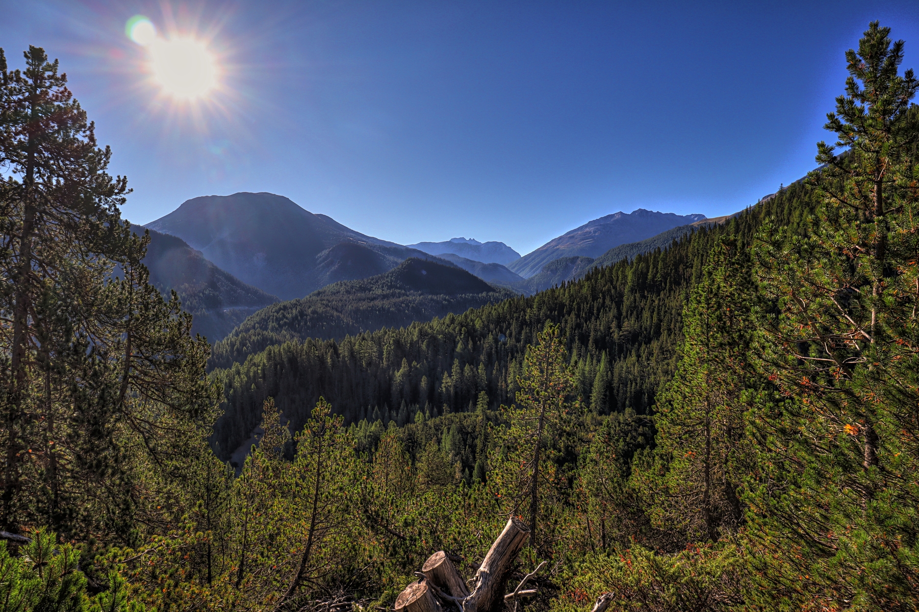 IMG_1235-hdr.jpg