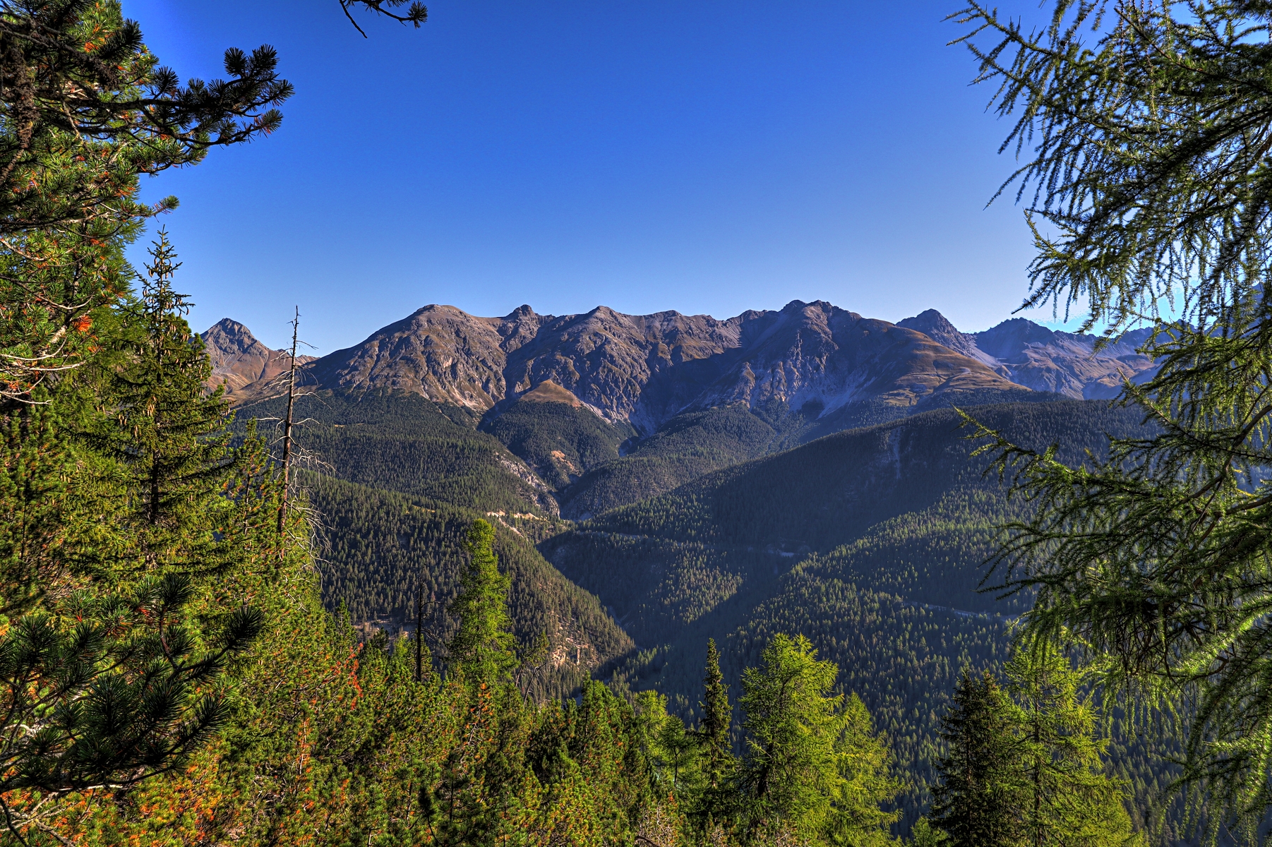 IMG_1241-hdr.jpg