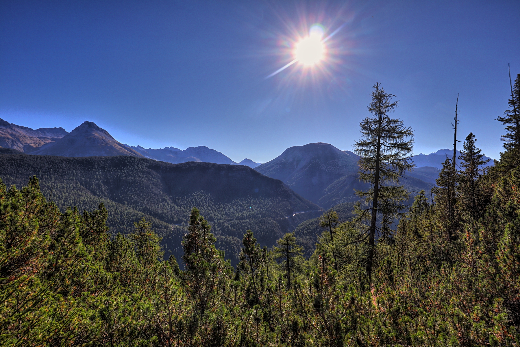 IMG_1247-hdr.jpg