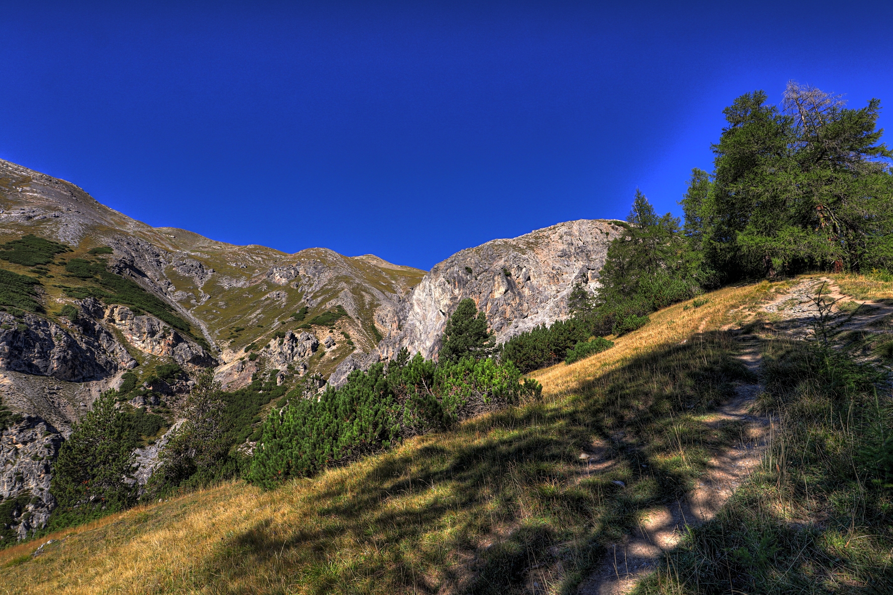 IMG_1259-hdr.jpg