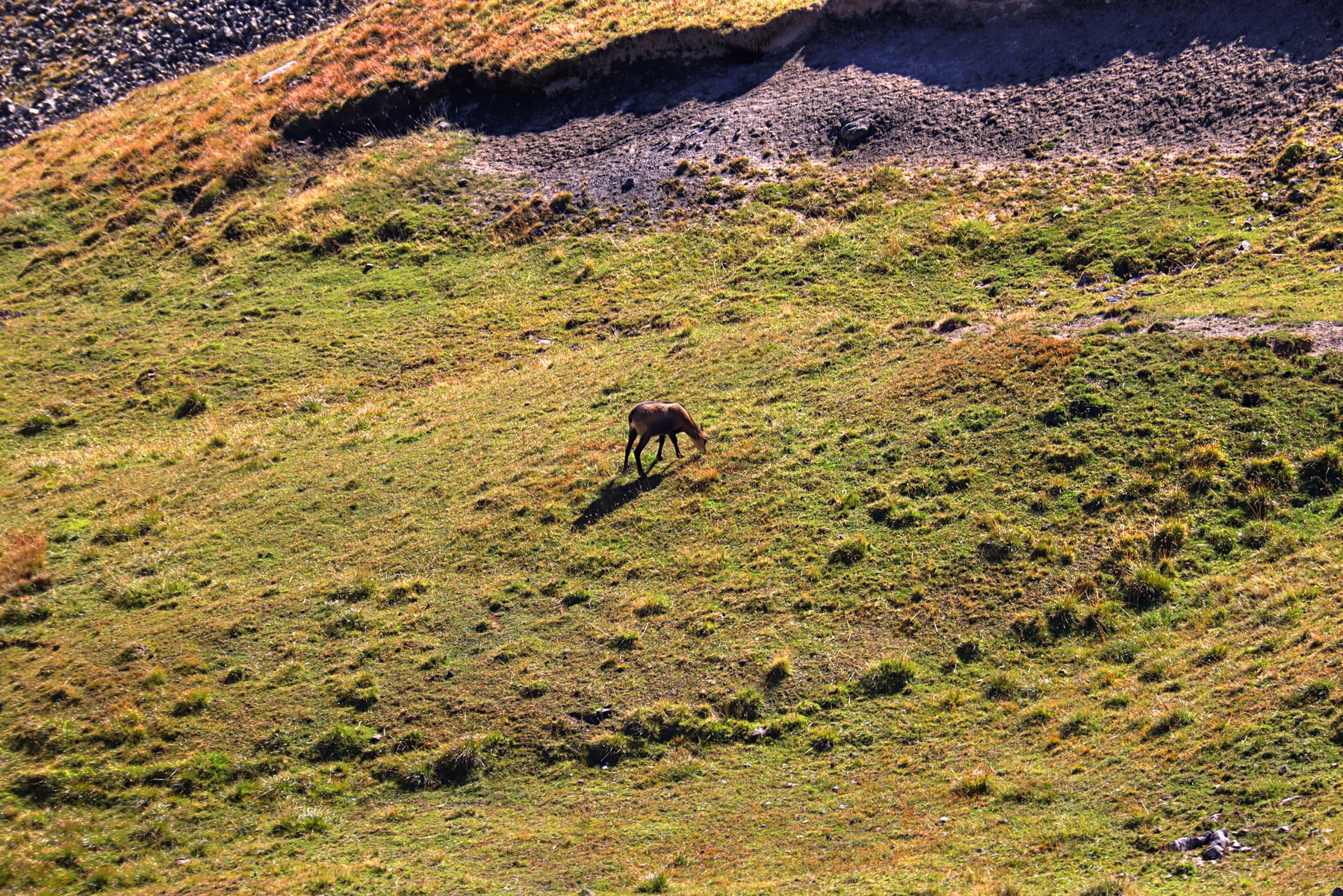 IMG_1307-hdr.jpg