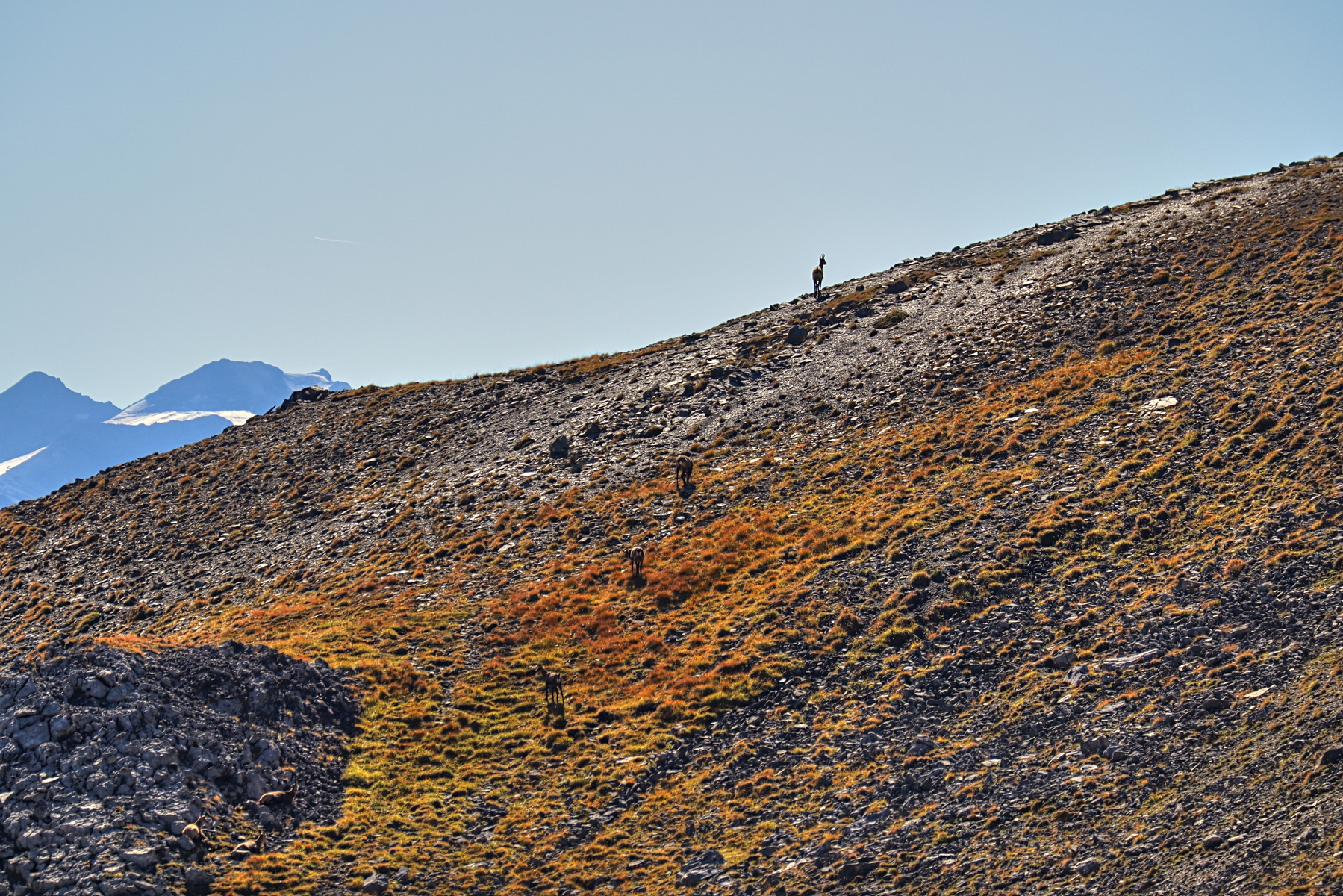 IMG_1334-hdr.jpg