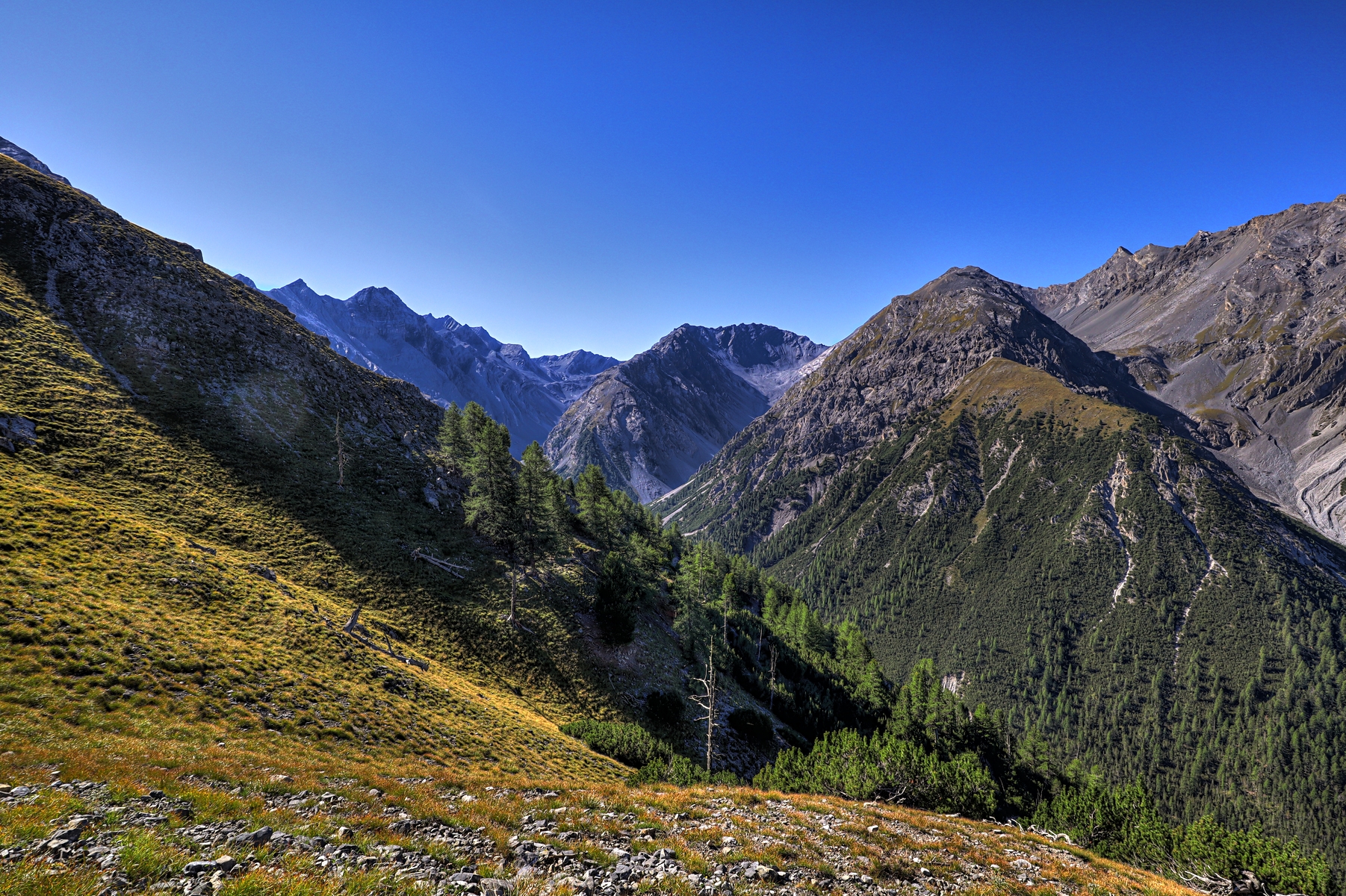 IMG_1370-hdr.jpg