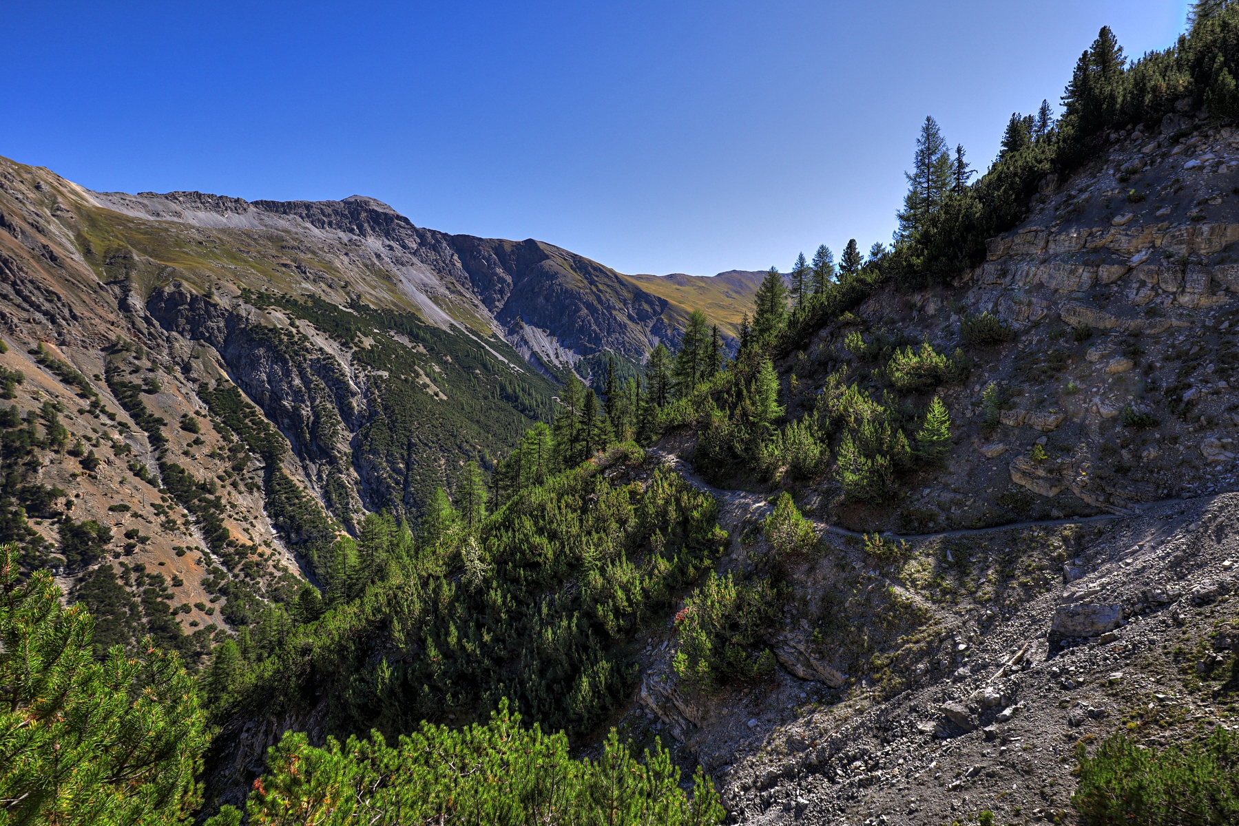 IMG_1394-hdr.jpg