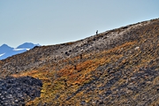 IMG_1334-hdr.jpg