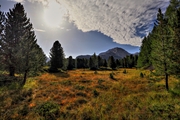 IMG_1415-hdr.jpg