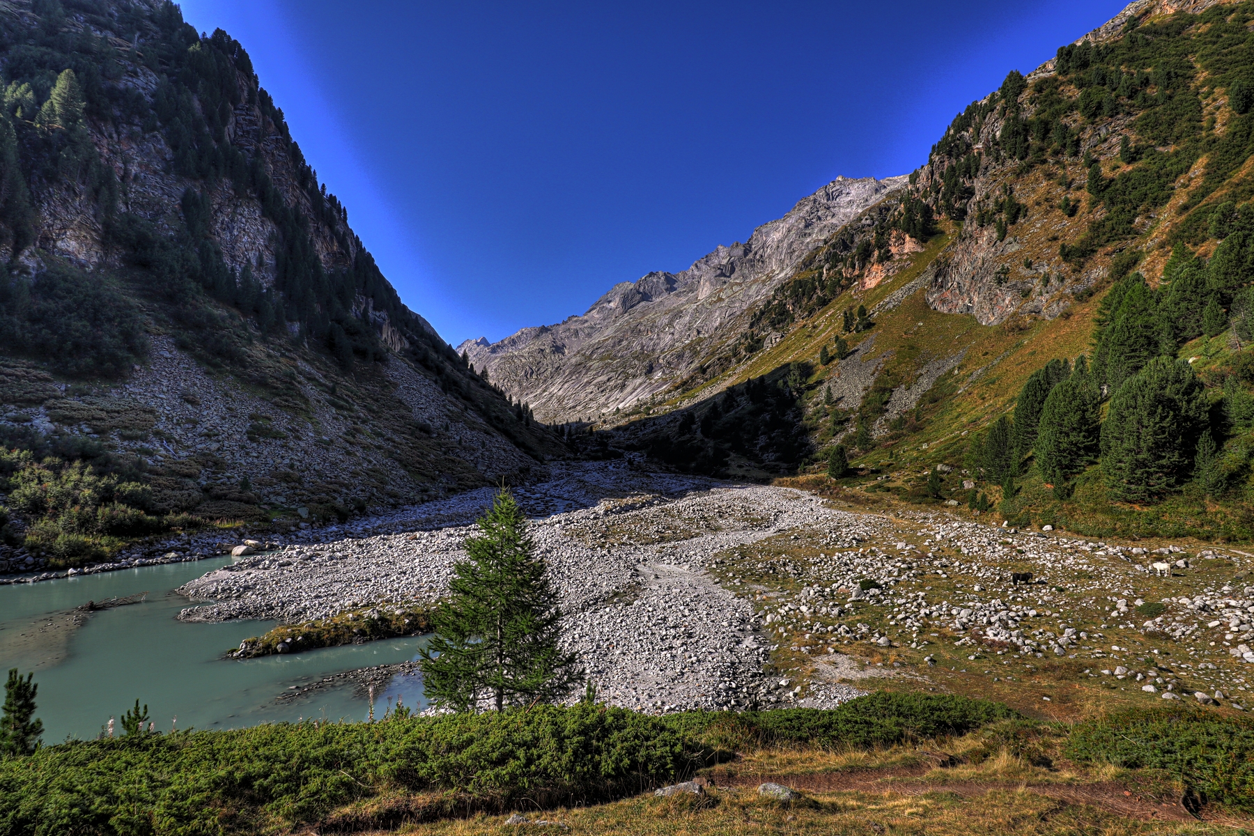 IMG_1439-hdr.jpg