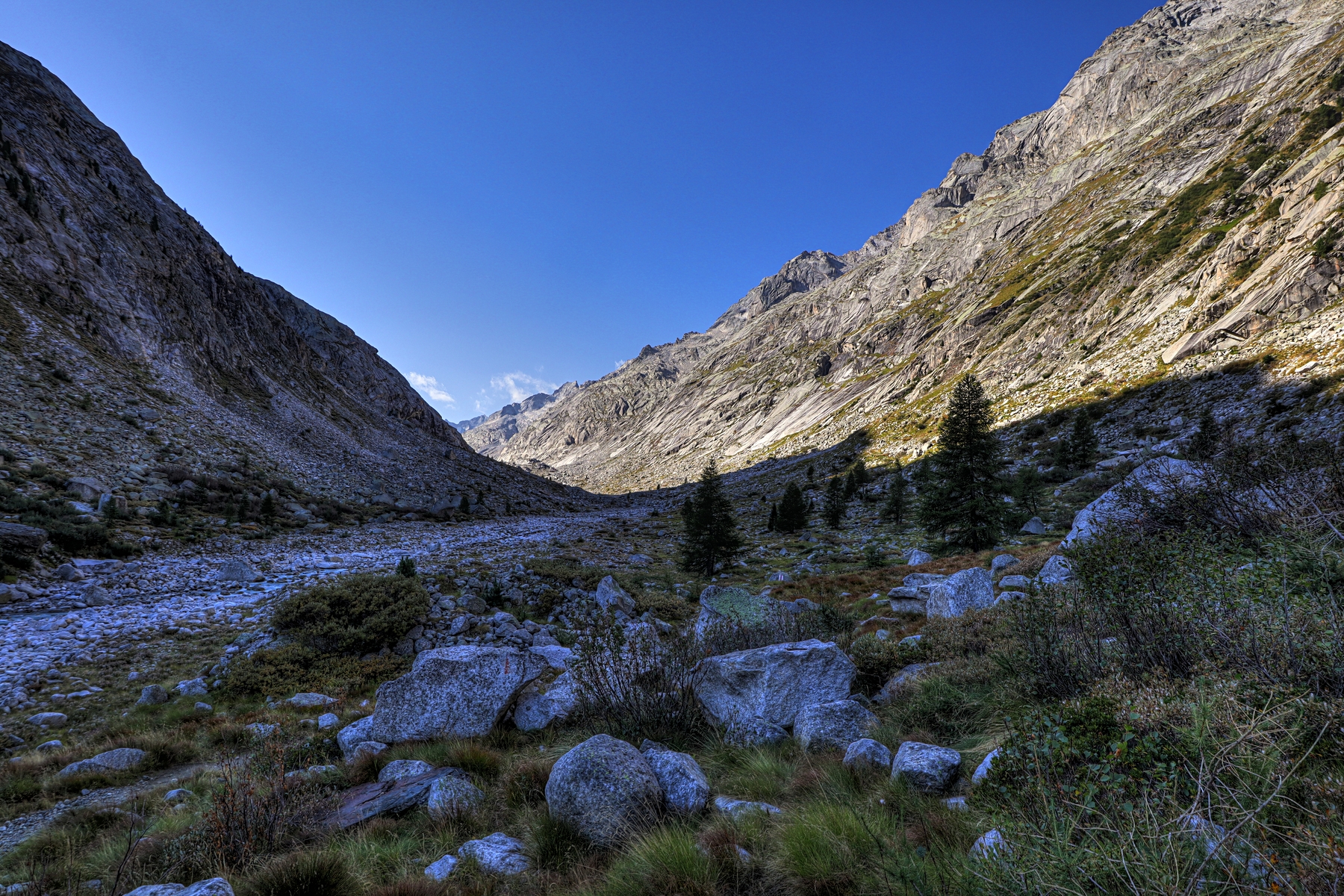 IMG_1445-hdr.jpg