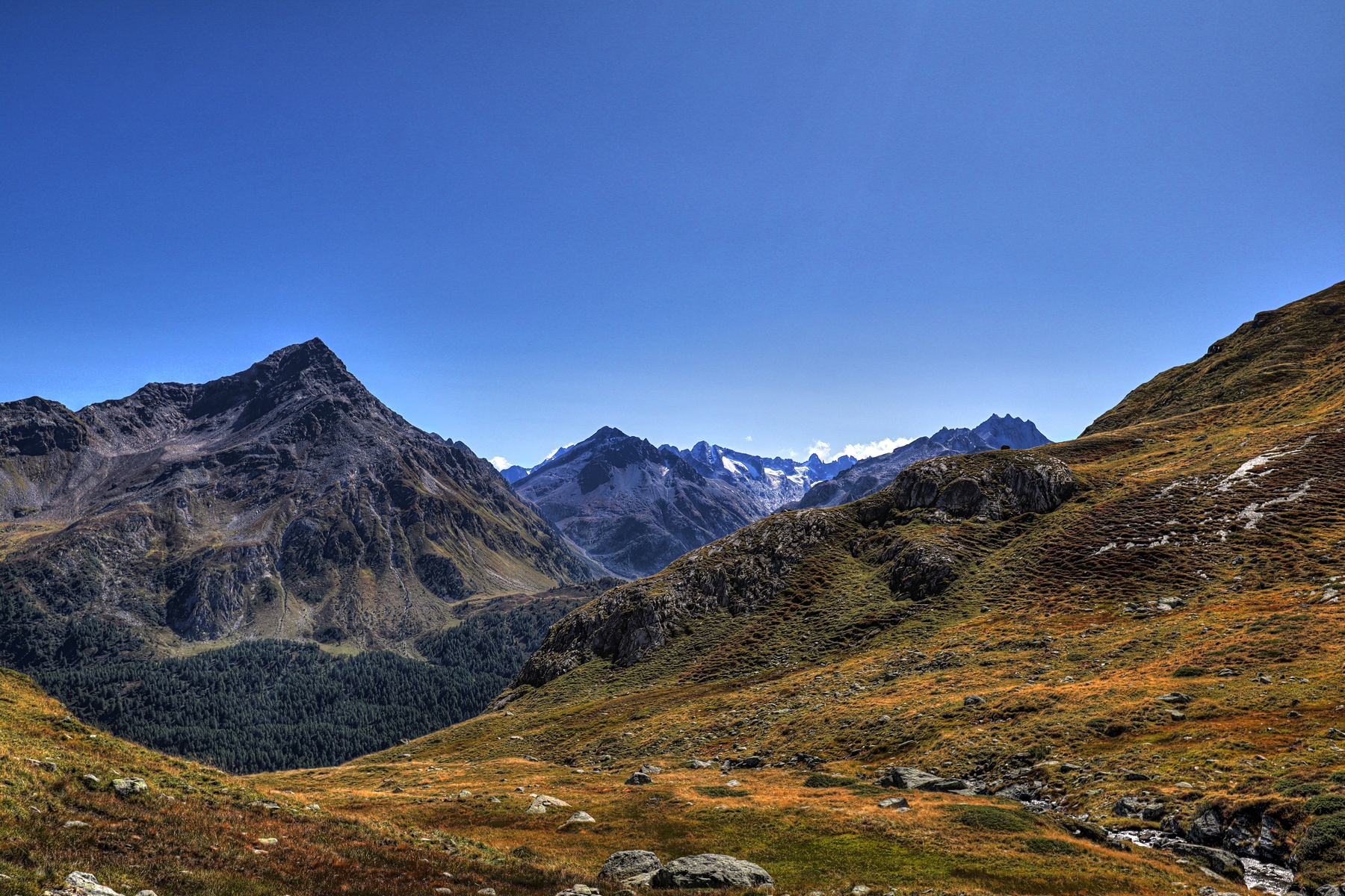 IMG_1758-hdr.jpg