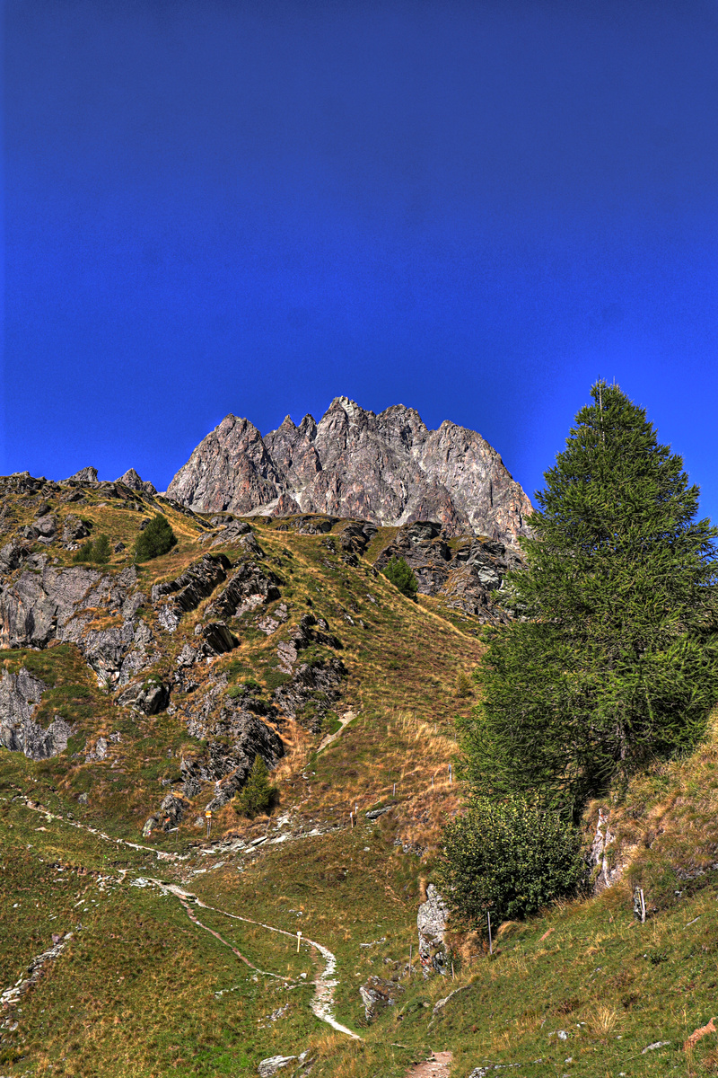 IMG_1782-hdr.jpg