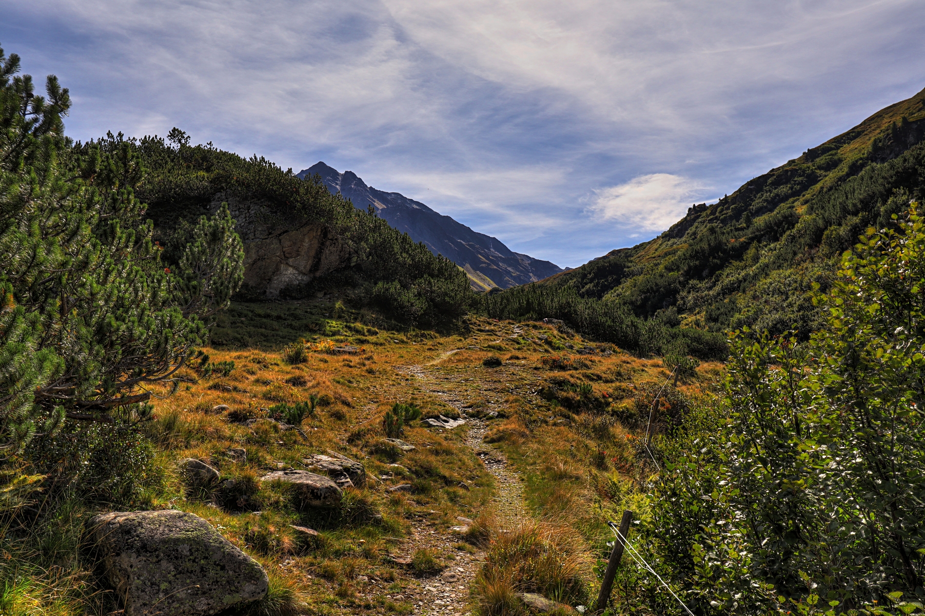 IMG_1883-hdr.jpg