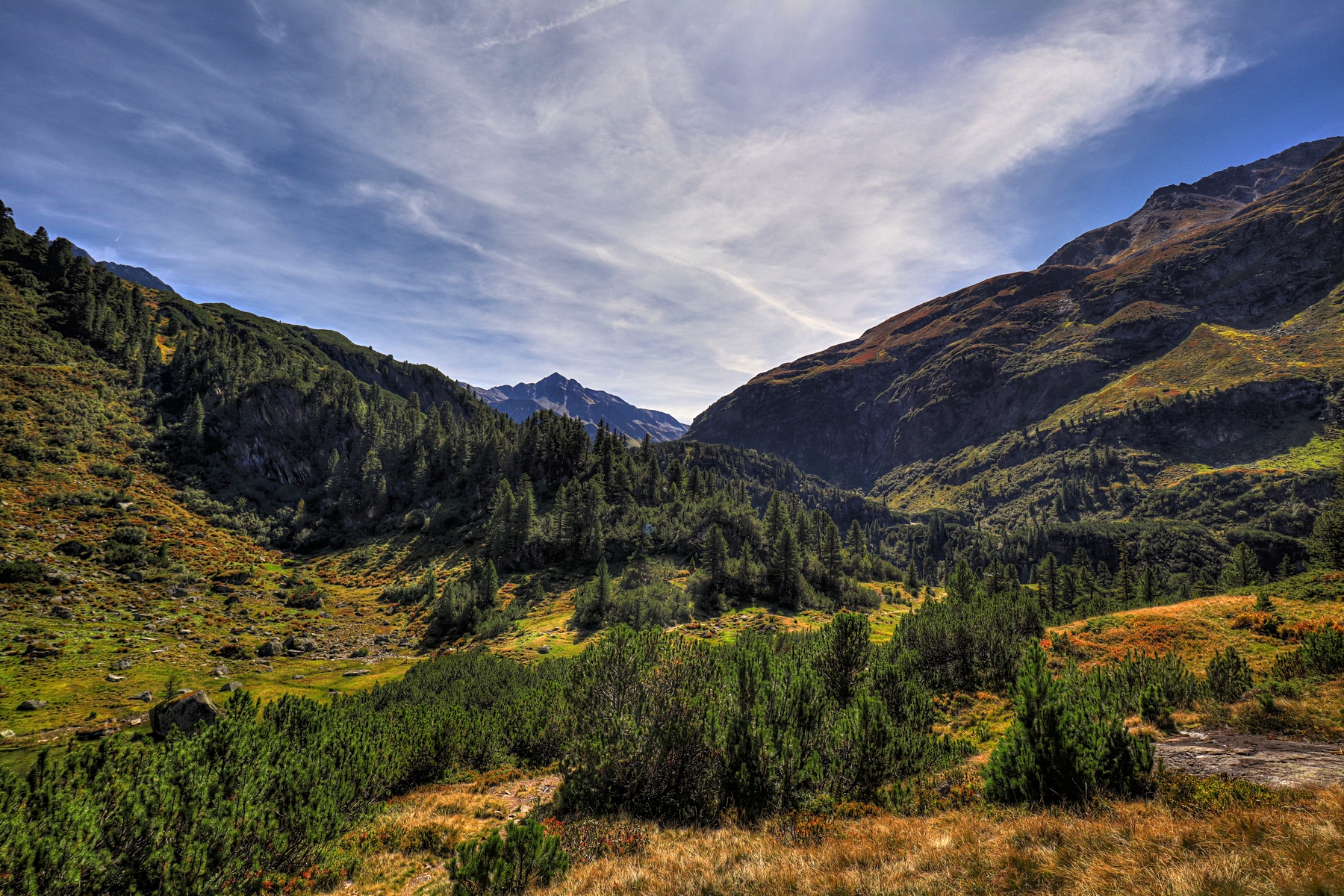 IMG_1919-hdr.jpg