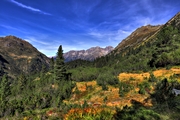 IMG_1901-hdr.jpg