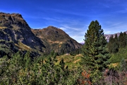 IMG_1904-hdr.jpg