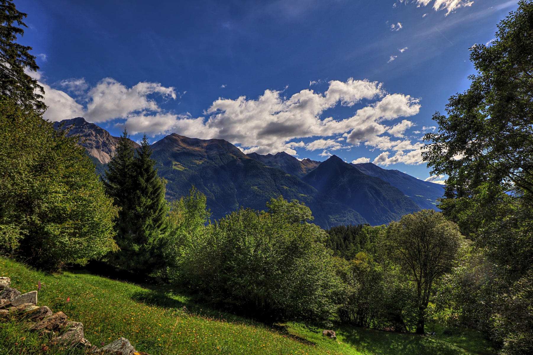 IMG_1955-hdr.jpg