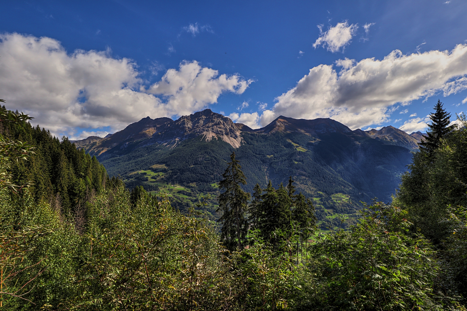 IMG_1958-hdr.jpg