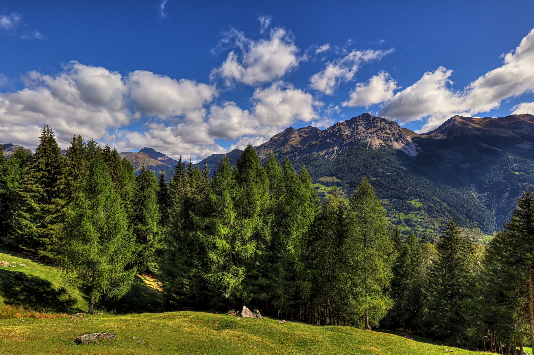IMG_1970-hdr.jpg