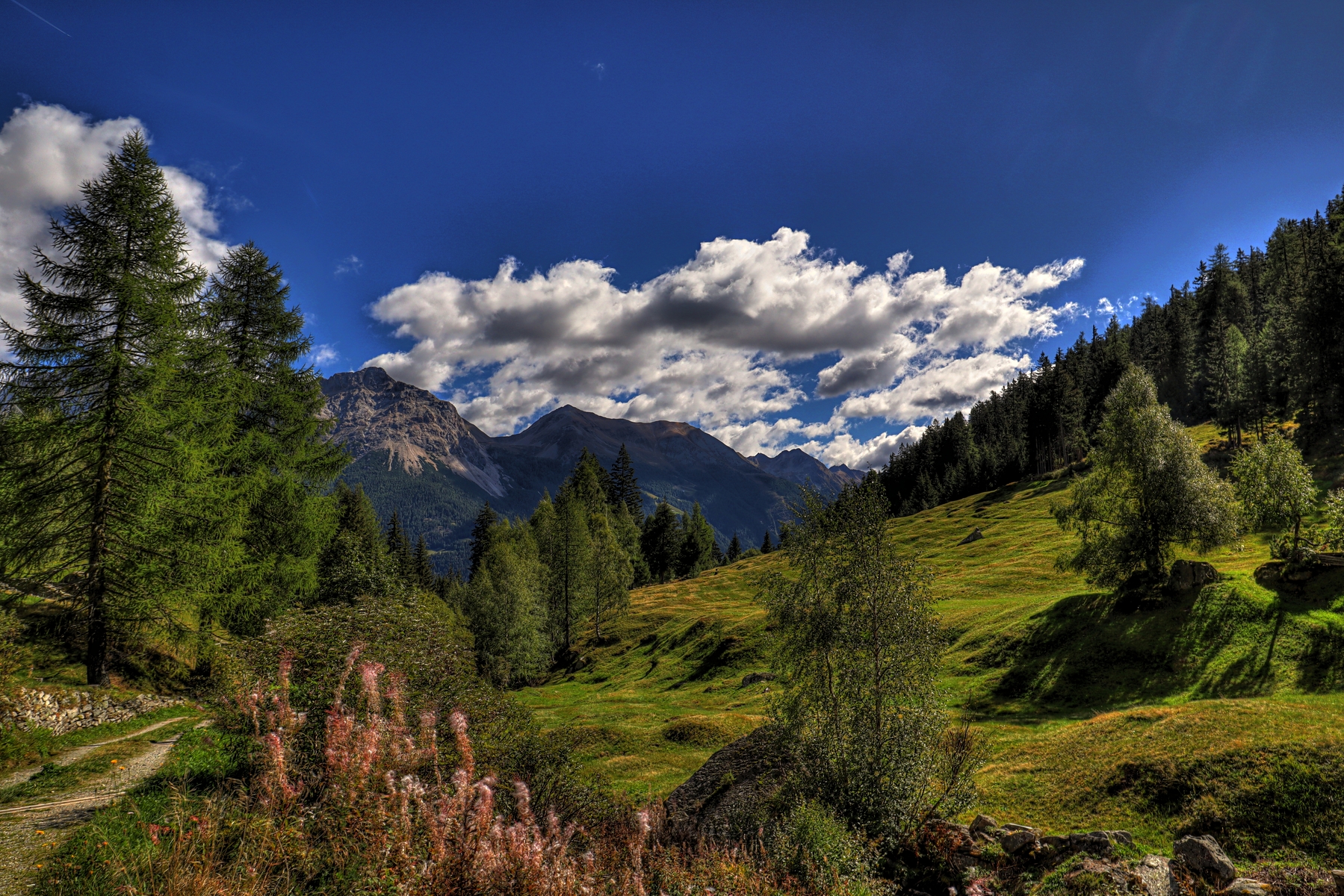 IMG_1973-hdr.jpg
