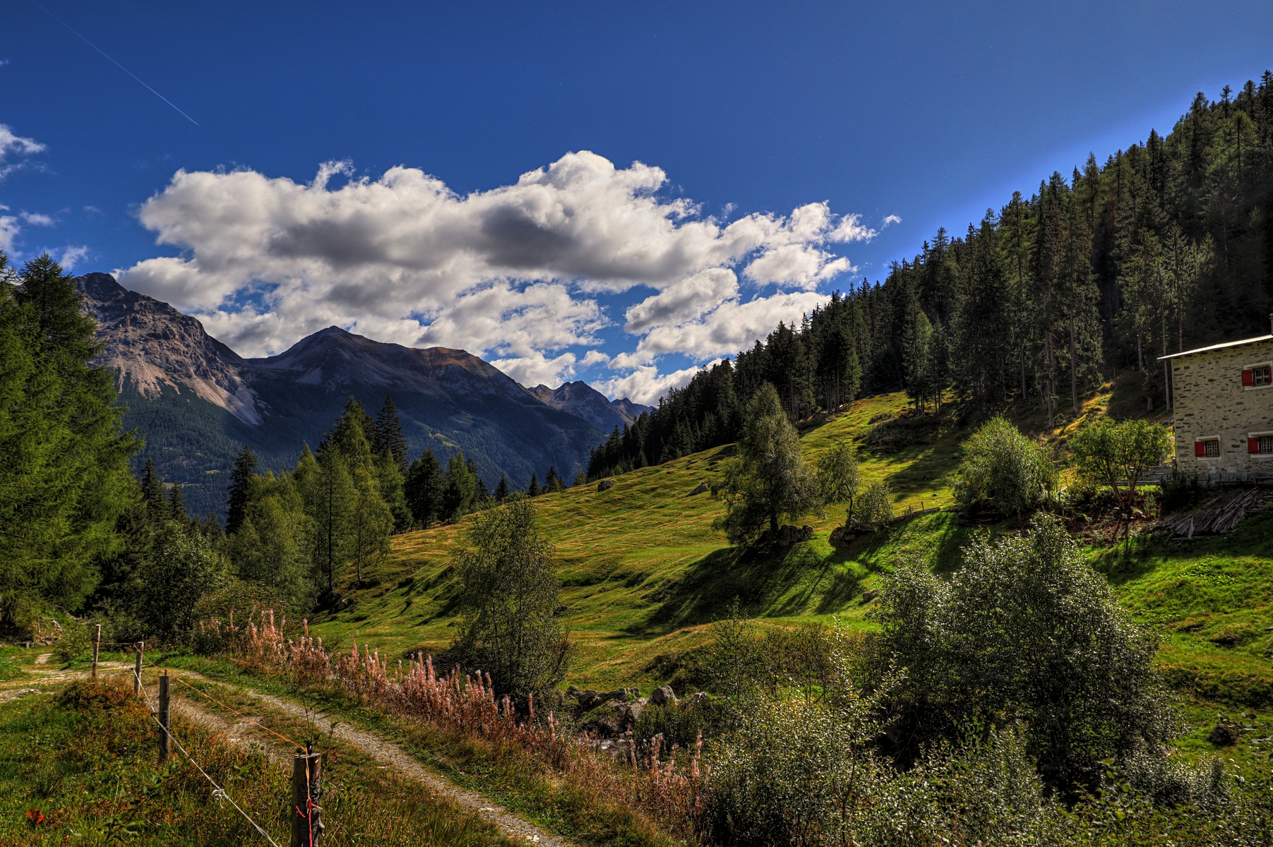 IMG_1976-hdr.jpg