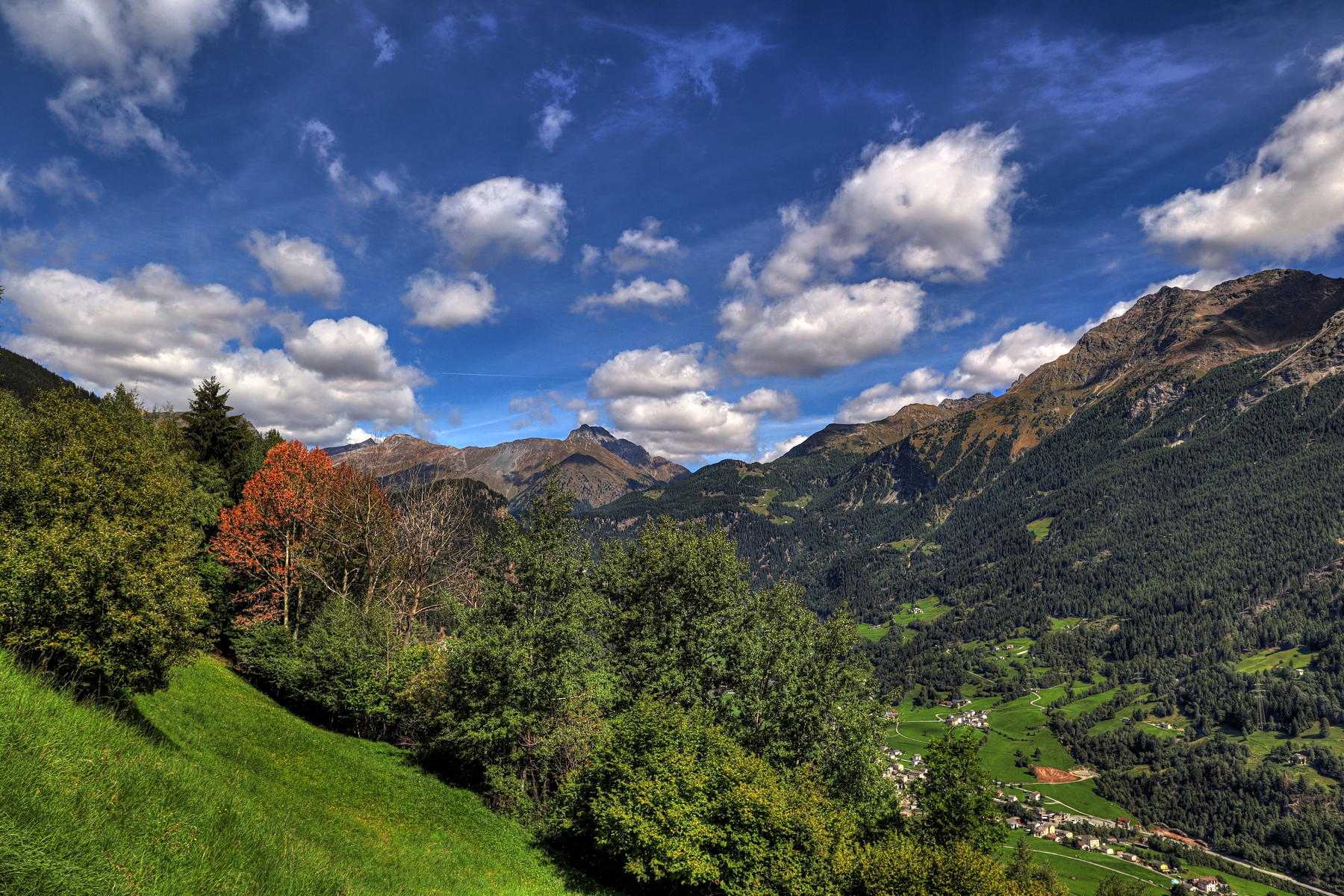 IMG_2069-hdr.jpg