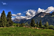 IMG_1940-hdr.jpg