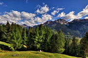 IMG_1970-hdr.jpg