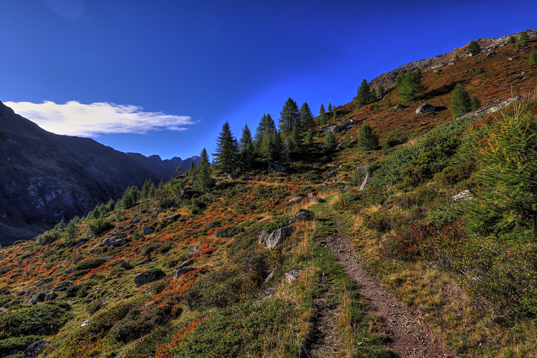 IMG_2090-hdr.jpg