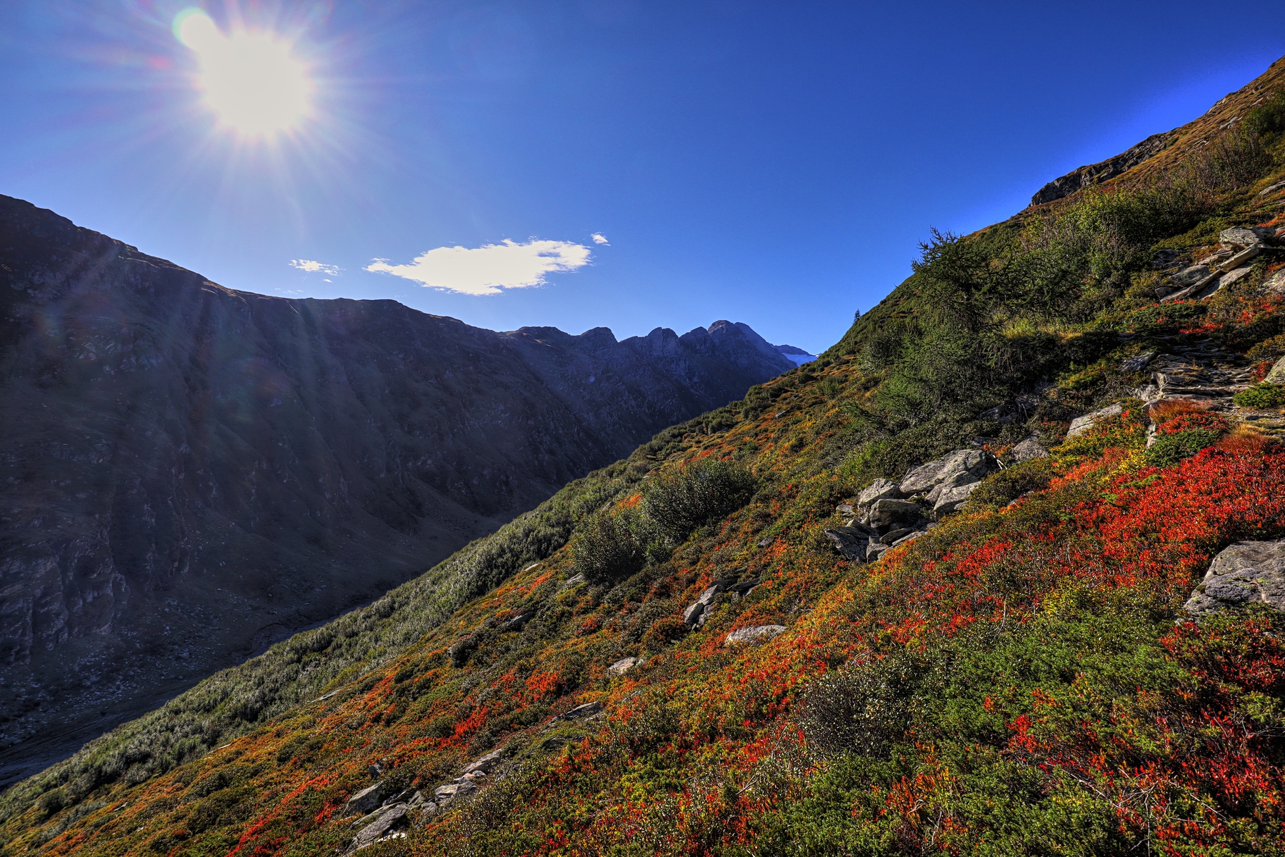 IMG_2093-hdr.jpg