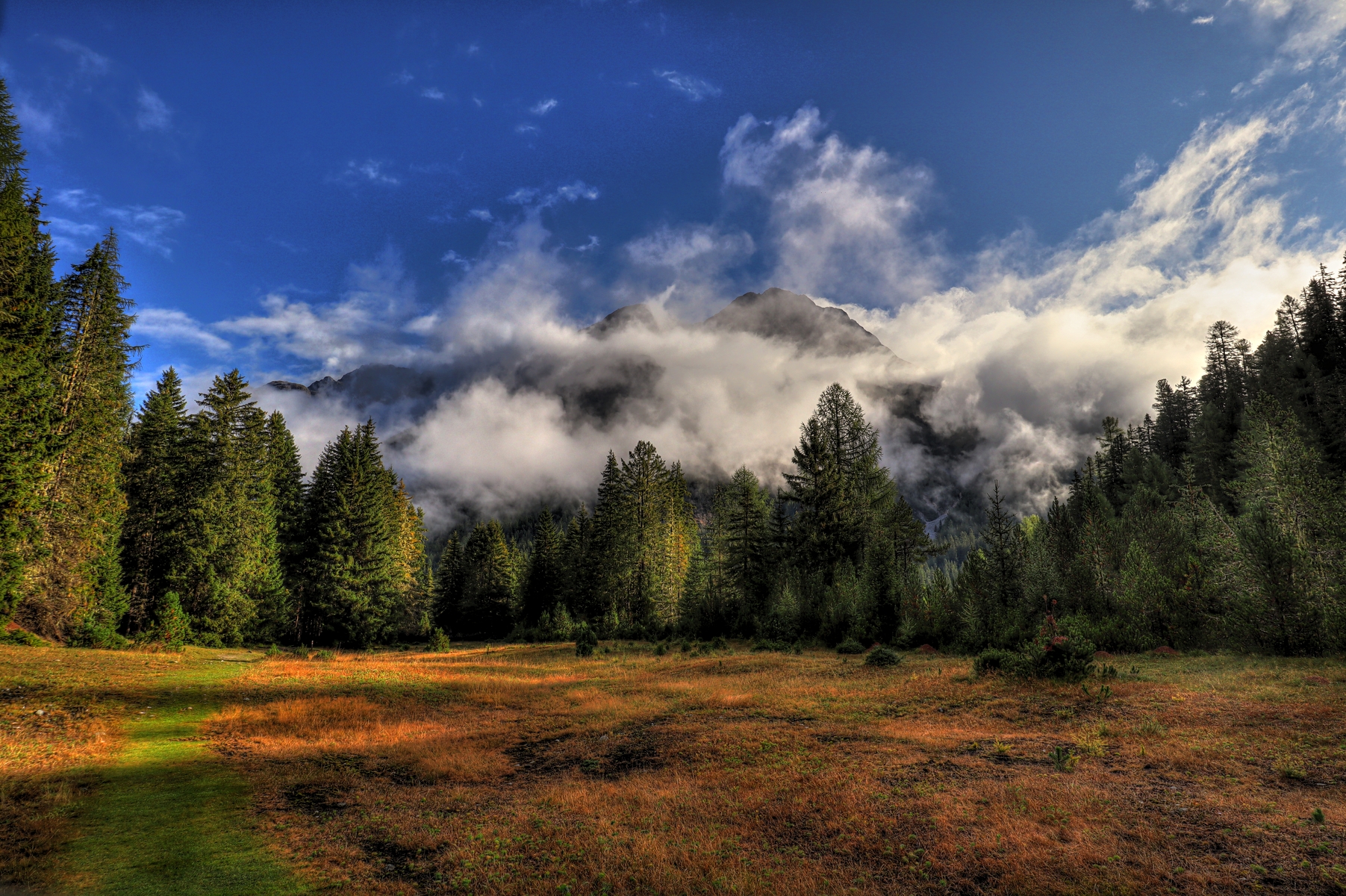 IMG_2214-hdr.jpg