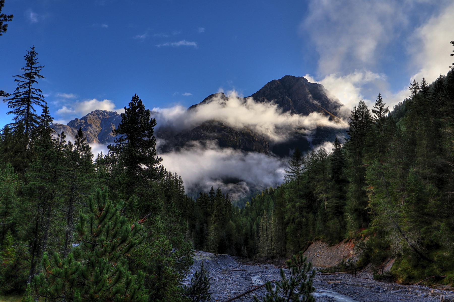 IMG_2220-hdr.jpg