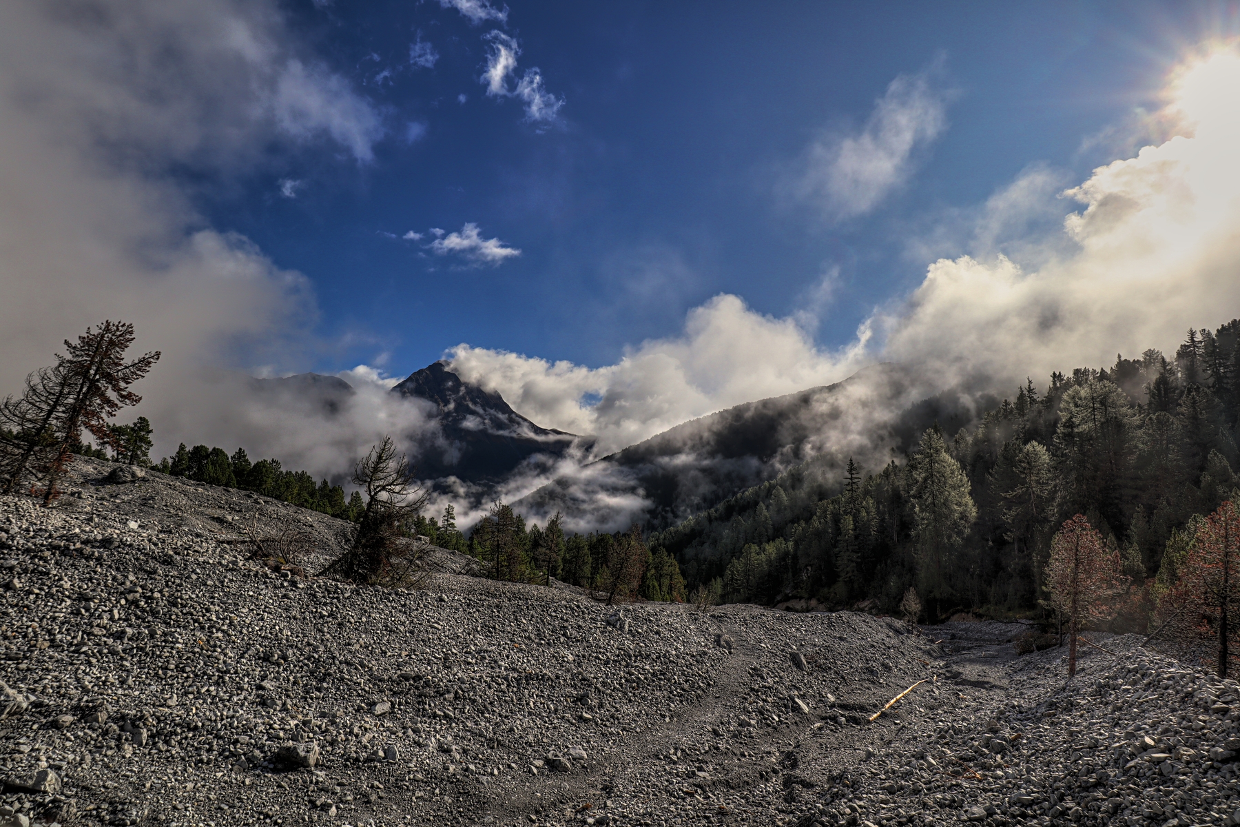 IMG_2232-hdr.jpg