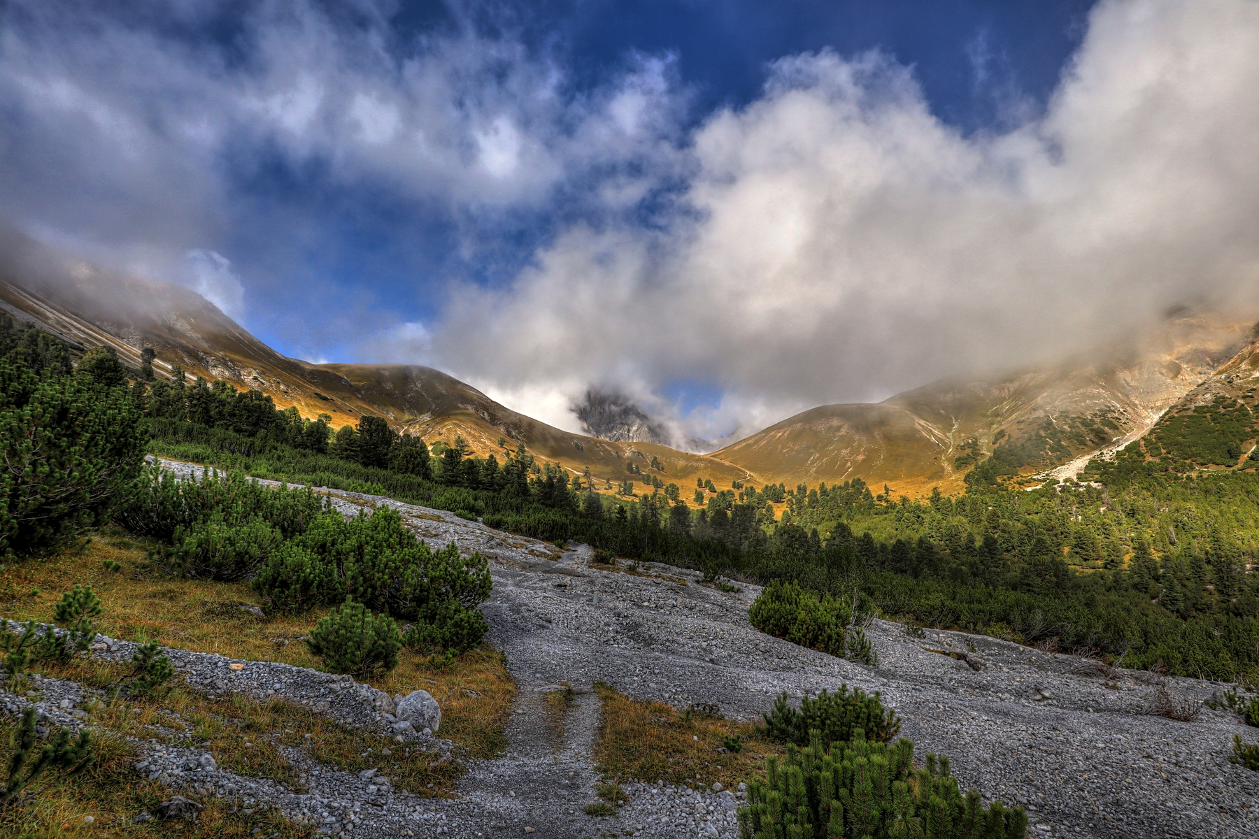 IMG_2238-hdr.jpg