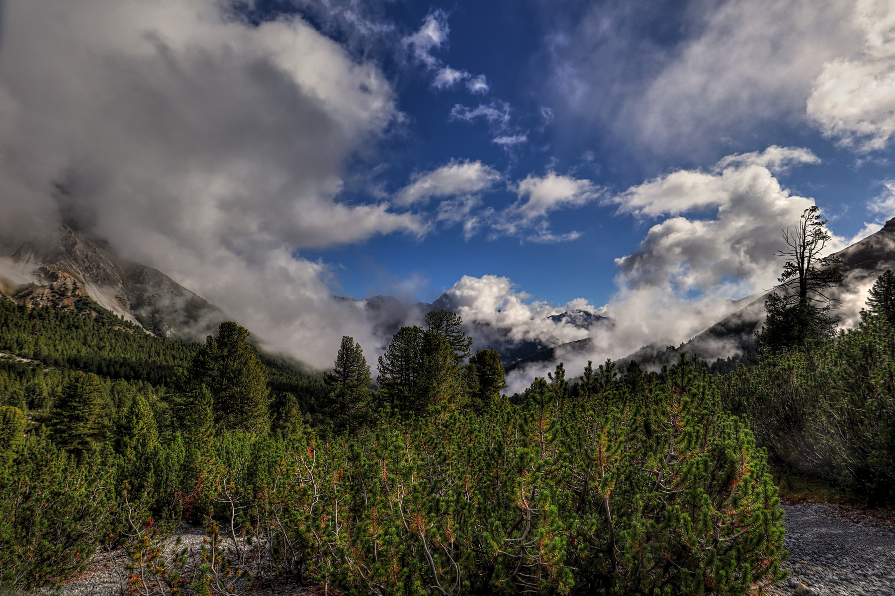 IMG_2247-hdr.jpg