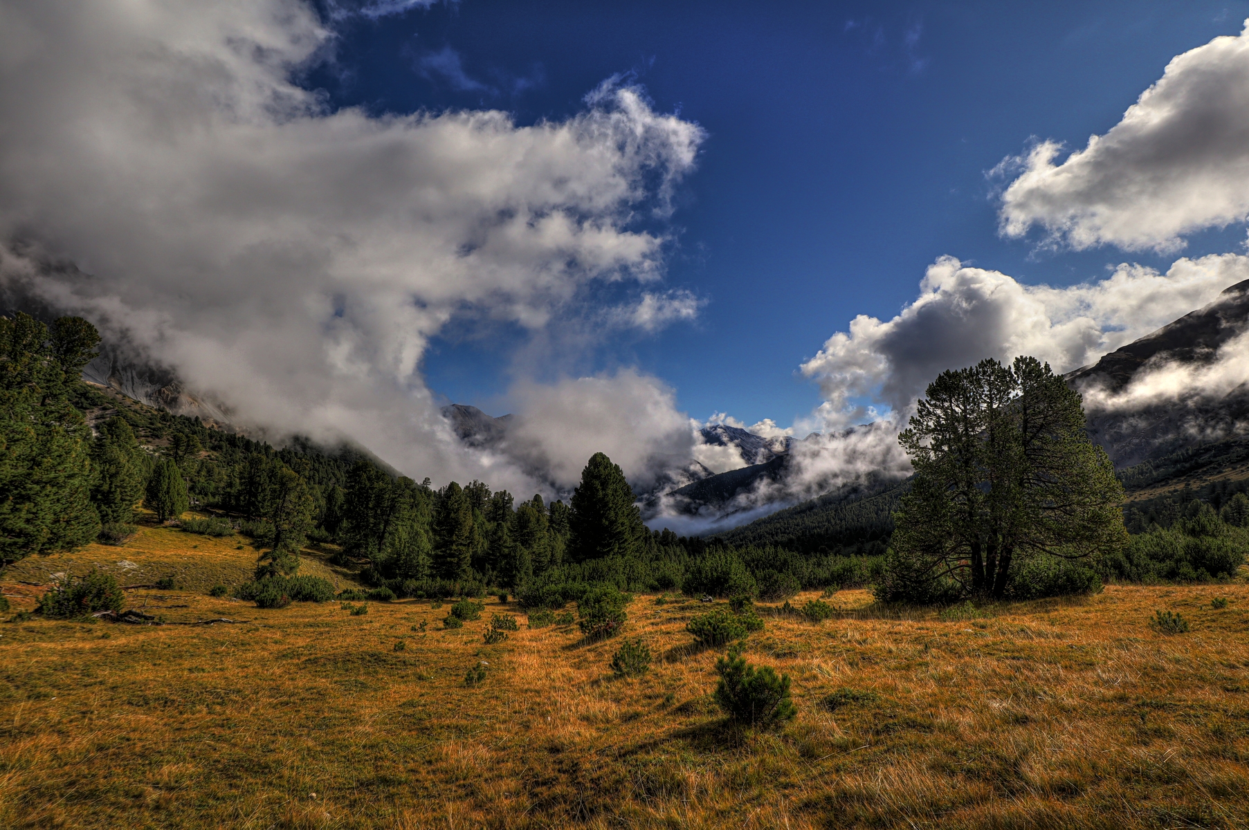 IMG_2256-hdr.jpg