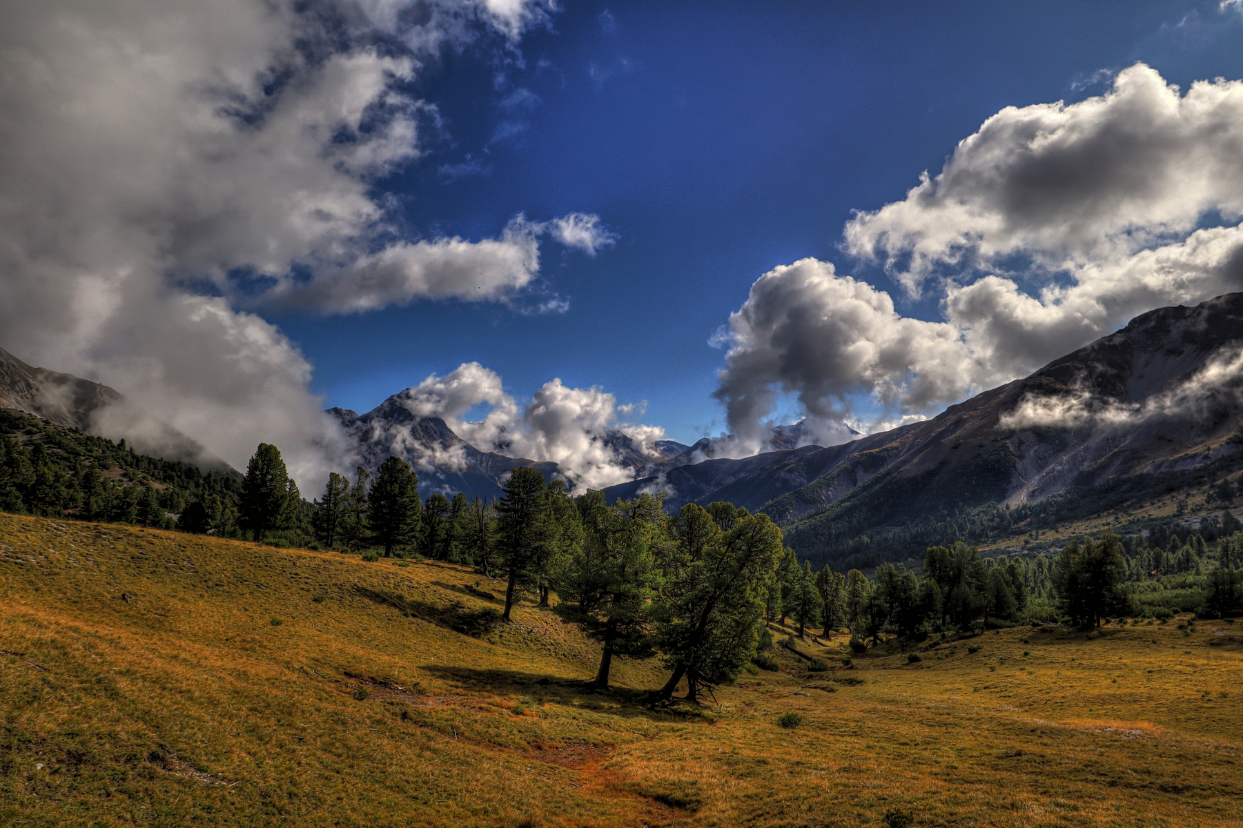 IMG_2262-hdr.jpg