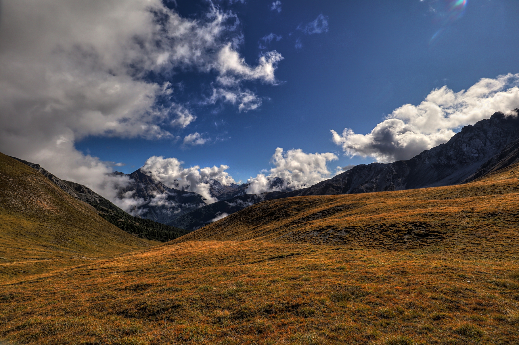 IMG_2274-hdr.jpg