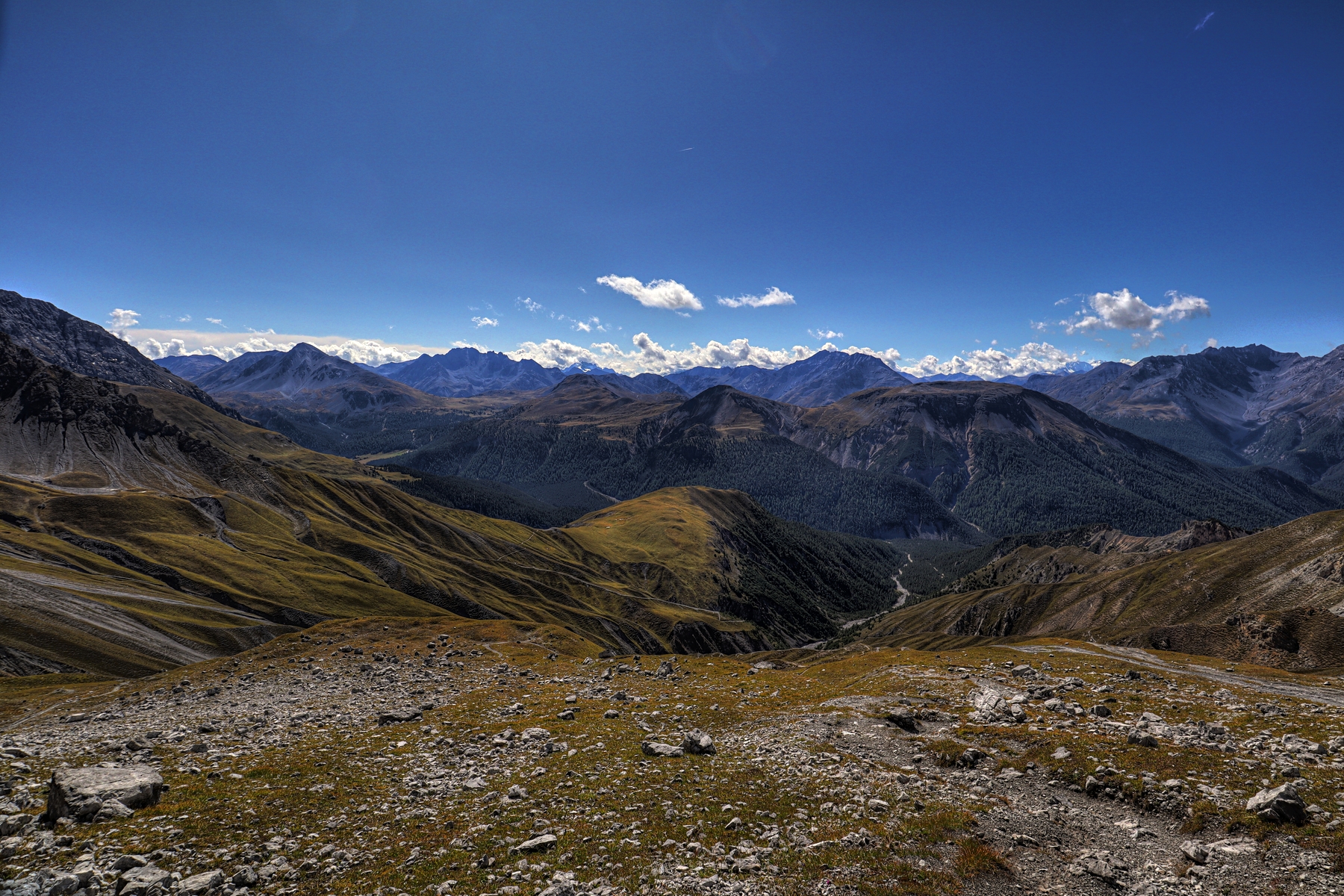 IMG_2307-hdr.jpg