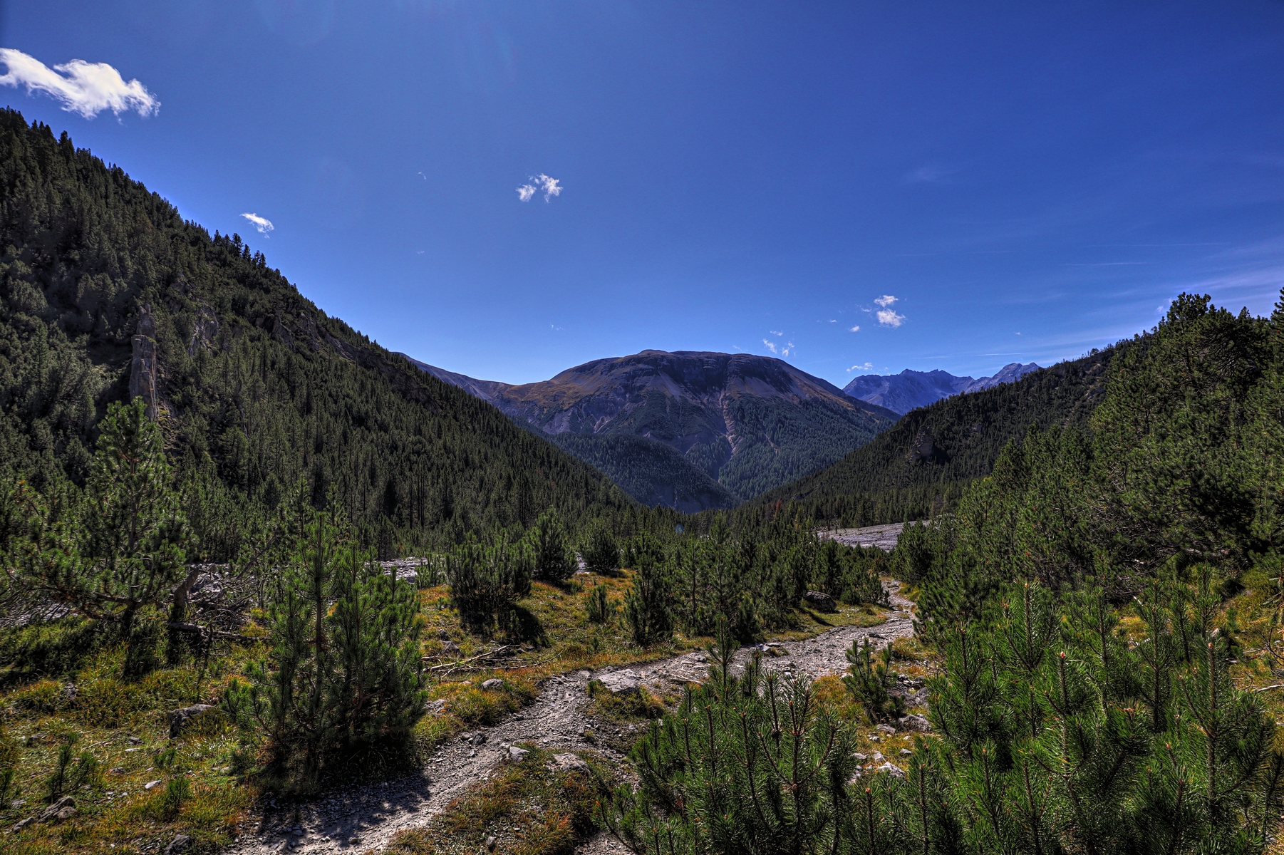 IMG_2322-hdr.jpg