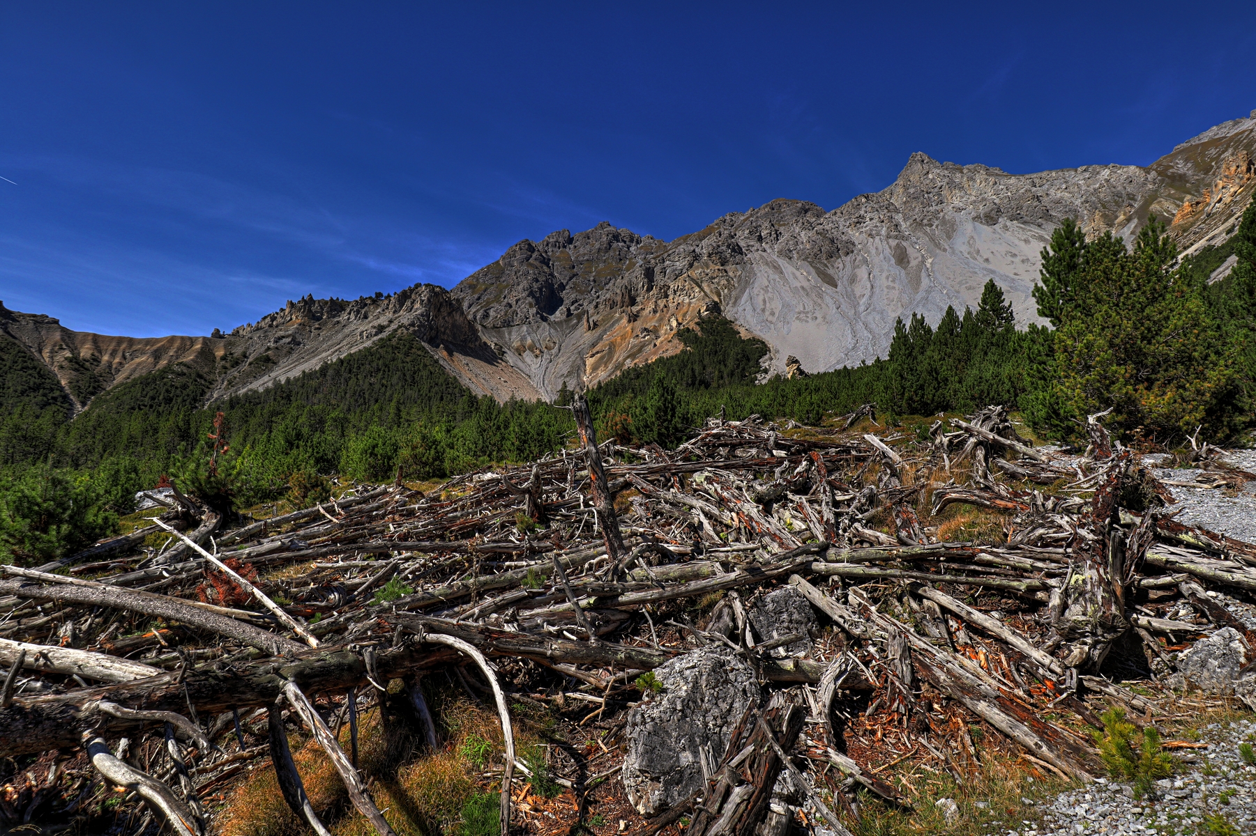 IMG_2331-hdr.jpg
