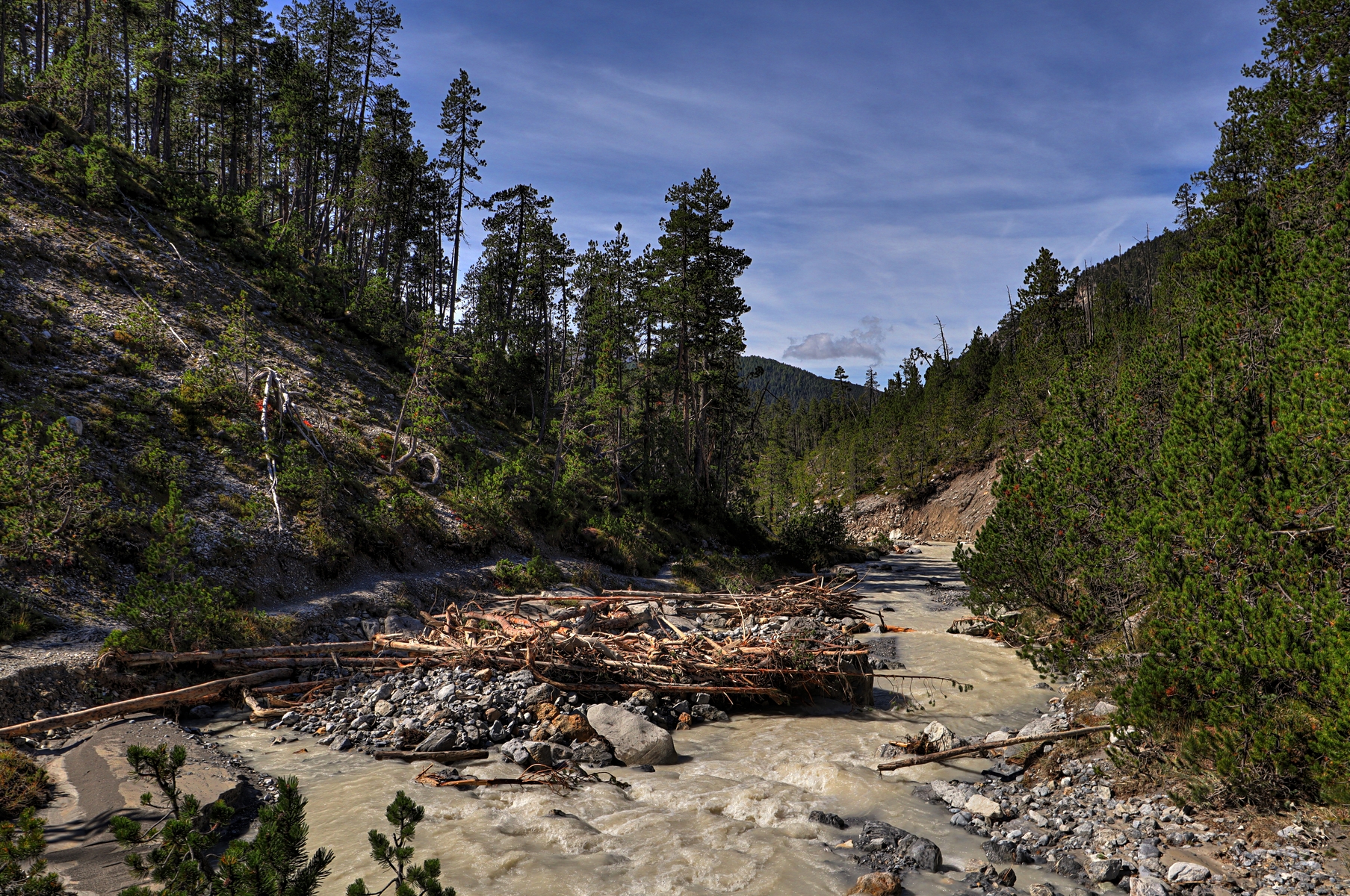 IMG_2337-hdr.jpg