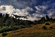 IMG_2235-hdr.jpg