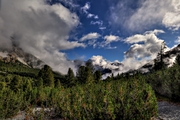 IMG_2247-hdr.jpg